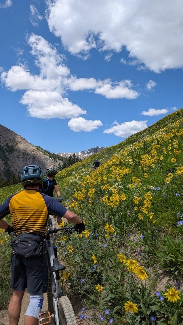 Riders climbing a trail lined with yellow arrowleaf balsamroot