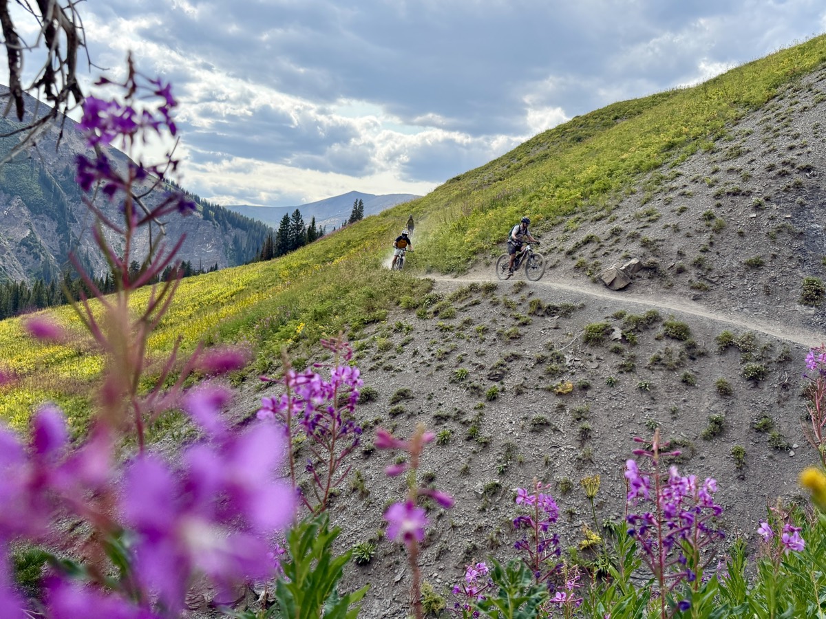 Wildflowers along an alpine trail on a FiresideCME ride